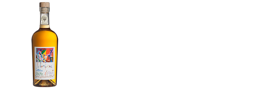 Grappa N°5 – Schweizer Riccardo Gialla